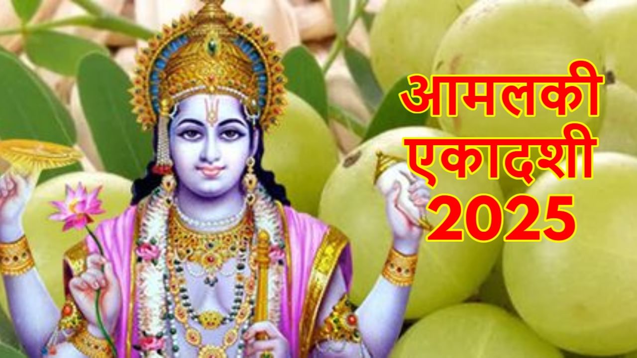 Amalaki Ekadashi 2025: आमलकी एकादशी को रंगभरी एकादशी क्यों कहते हैं? जानें इसका कारण और महत्व