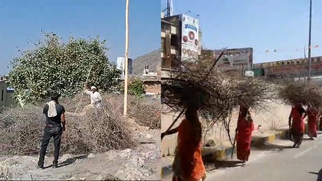 100 महिला मजदूर, 1000 कांटों की गठरियां... मेवाड़ में जलाई जाती है 2 मंजिल की होलिका, एक महीने पहले से शुरू हो जाती है तैयारी