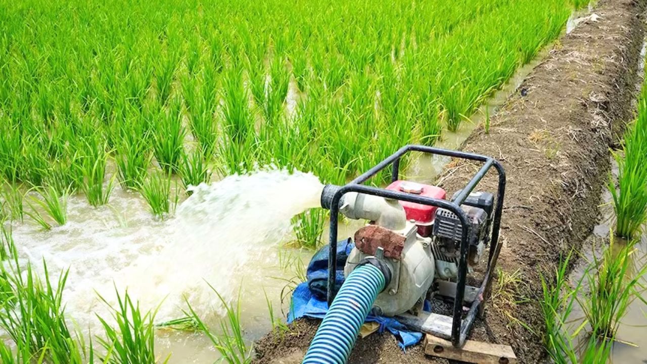 बिहार: किसानों को बिजली देने के लिए पंचायतों में लगेंगे विशेष कैम्प, ऊर्जा सचिव ने दिए निर्देश बिहार: किसानों को बिजली देने के लिए पंचायतों में लगेंगे विशेष कैम्प, ऊर्जा सचिव ने दिए निर्देश