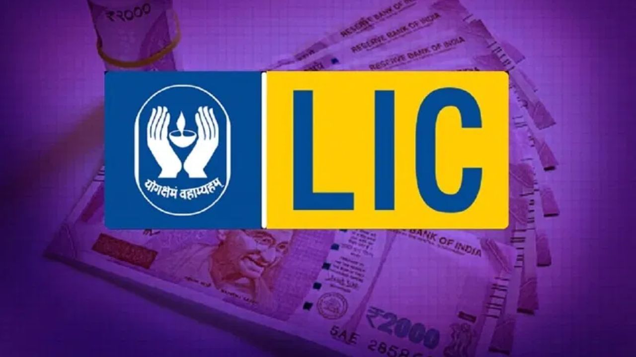 LIC ने खरीदे चॉकलेट बनाने वाली कंपनी के 1.49 लाख शेयर, रॉकेट बना भाव- आपके पास है?