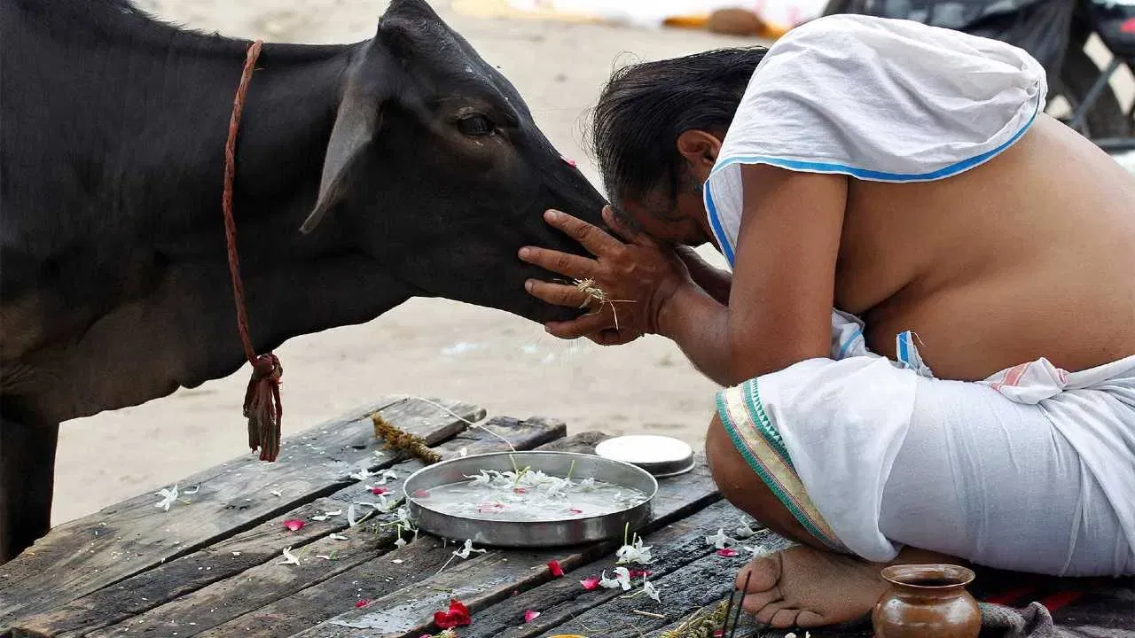 गरुड़ पुराण: यह एक दान दिला सकता है आपके पितरों को मोक्ष और आपको स्वर्ग की सीढ़ी, जानें कौन सा है ये महादान ? गरुड़ पुराण: यह एक दान दिला सकता है आपके पितरों को मोक्ष और आपको स्वर्ग की सीढ़ी, जानें कौन सा है ये महादान ?