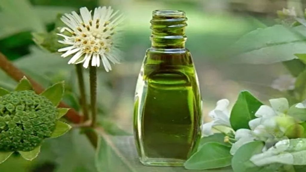 Bhringraj Oil Benefits