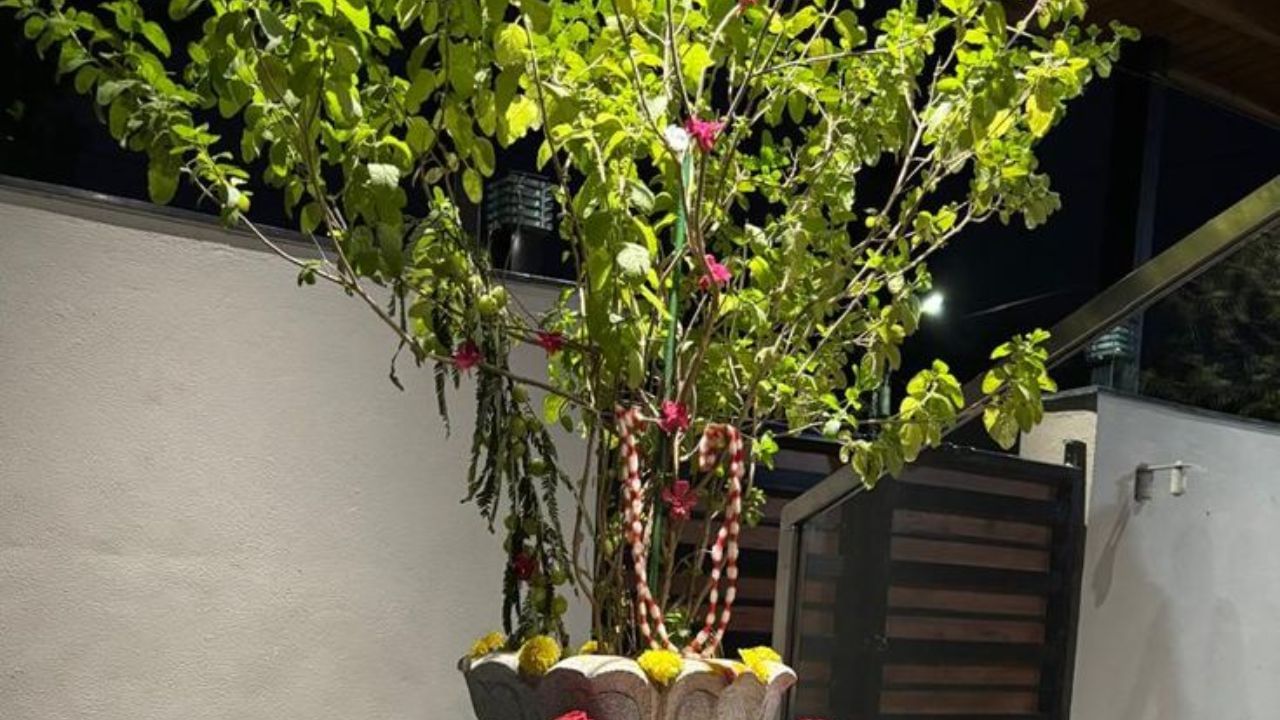 Importance Of Tulsi Puja In Sawan (1)