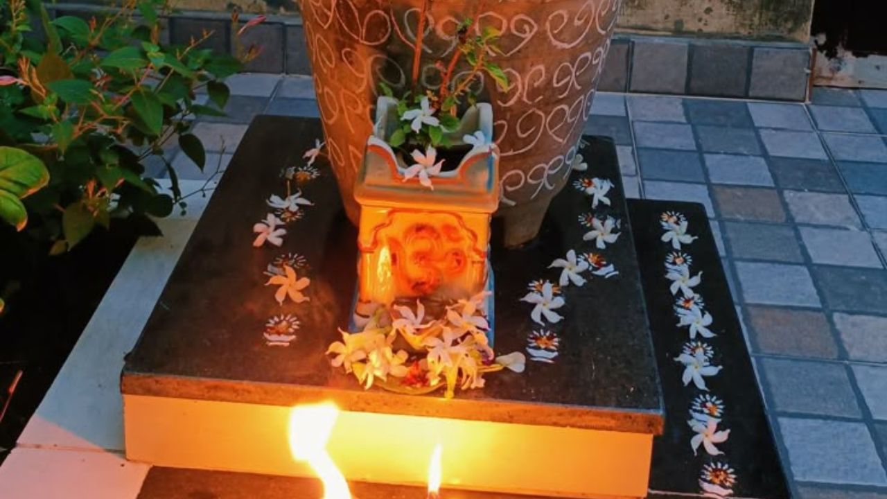 Importance Of Tulsi Puja In Sawan (6)