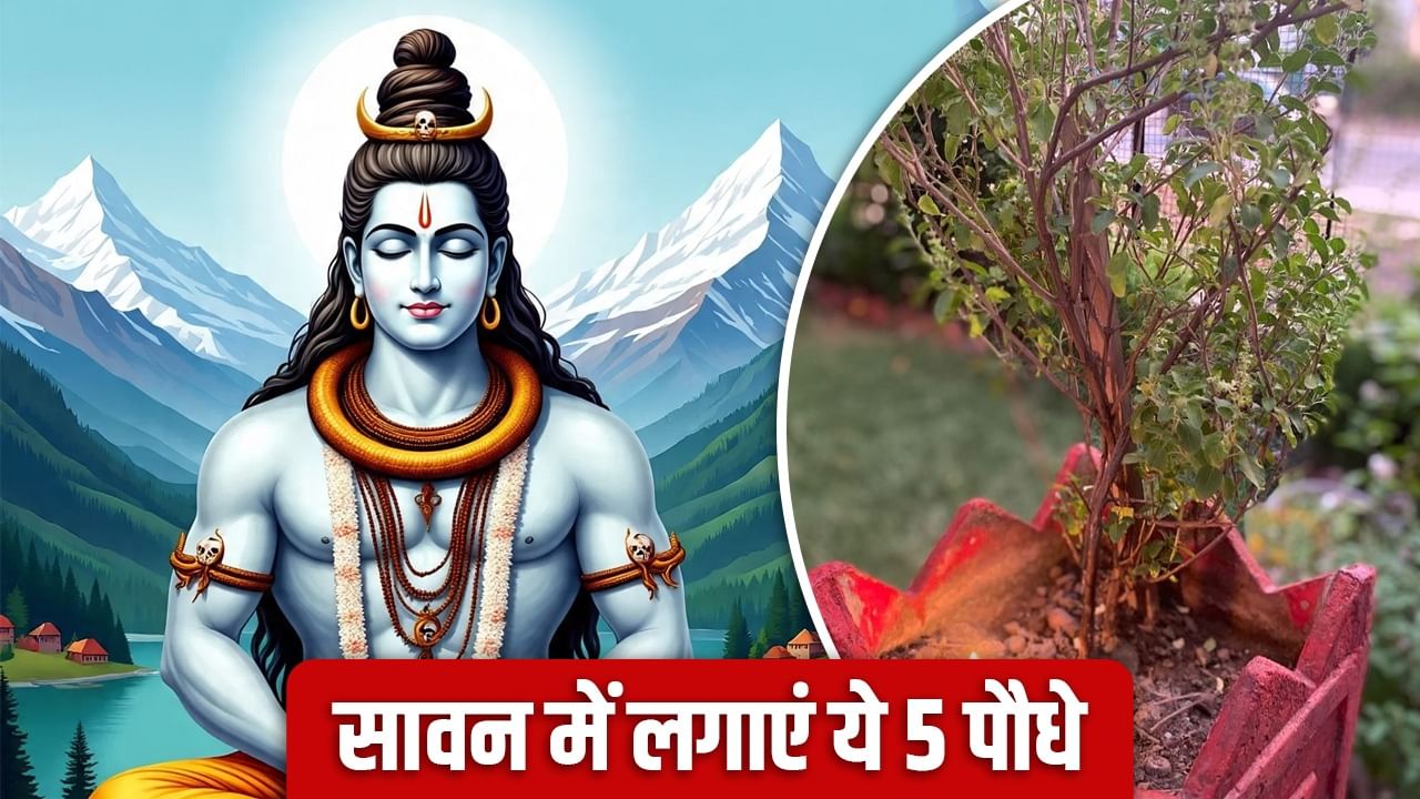 Sawan 2025: सावन में लगाएं ये 5 पौधे, भोलेनाथ होंगे मेहरबान, धन से भर जाएगी तिजोरी!