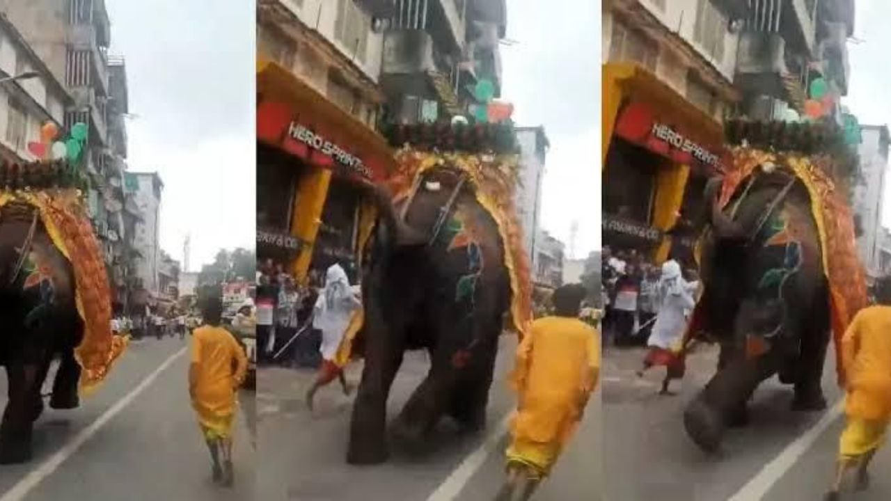 अहमदाबाद: रथयात्रा में हाथी बेकाबू, अब वन्यजीव सुरक्षा पर उठे सवाल; लोगों ने पूछा- क्या जानवरों को लाना सही?