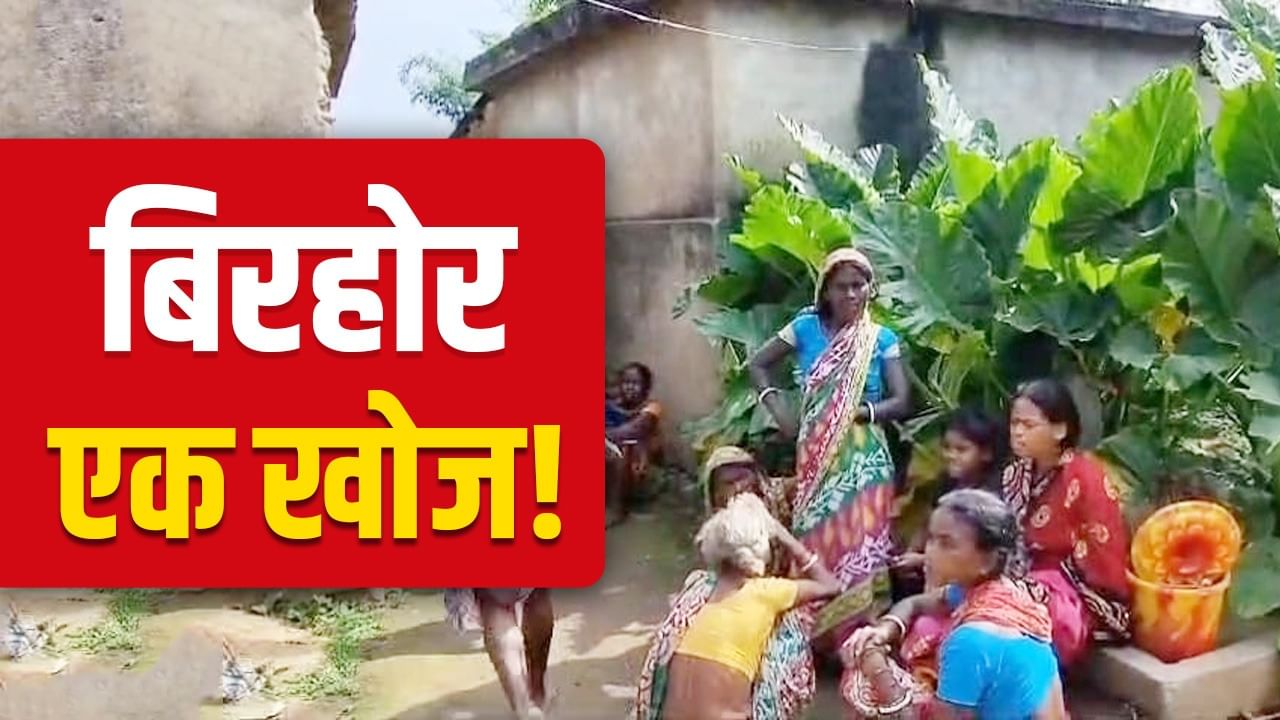 सूर्य के वंशज, जंगल मानव... विलुप्त होने के कगार पर बिरहोर समाज, बिहार में क्या ढूंढ पाएगा चुनाव आयोग? सूर्य के वंशज, जंगल मानव... विलुप्त होने के कगार पर बिरहोर समाज, बिहार में क्या ढूंढ पाएगा चुनाव आयोग?