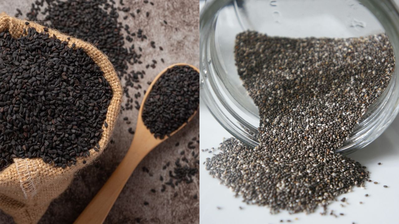 Chia Vs Sabja (1)