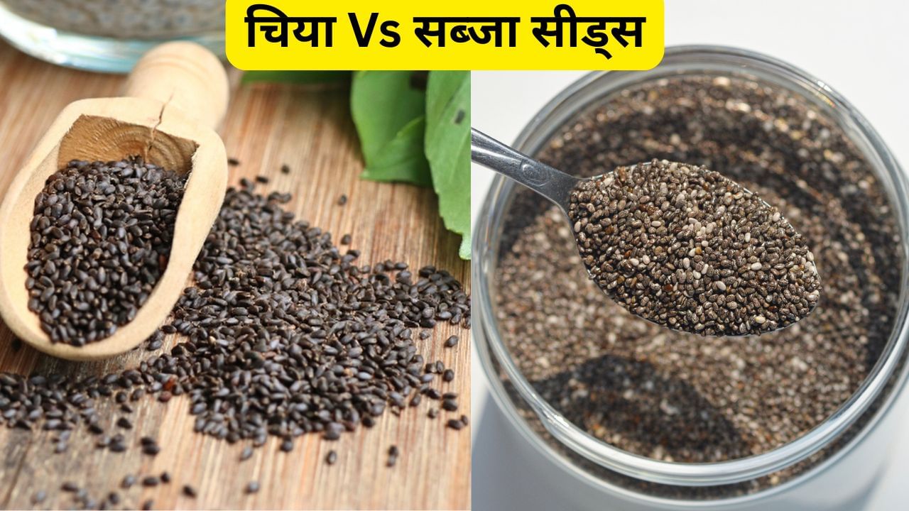 चिया सीड्स Vs सब्जा सीड्स: दिखते हैं एक जैसे, पर पोषक तत्वों में बड़ा फर्क चिया सीड्स Vs सब्जा सीड्स: दिखते हैं एक जैसे, पर पोषक तत्वों में बड़ा फर्क