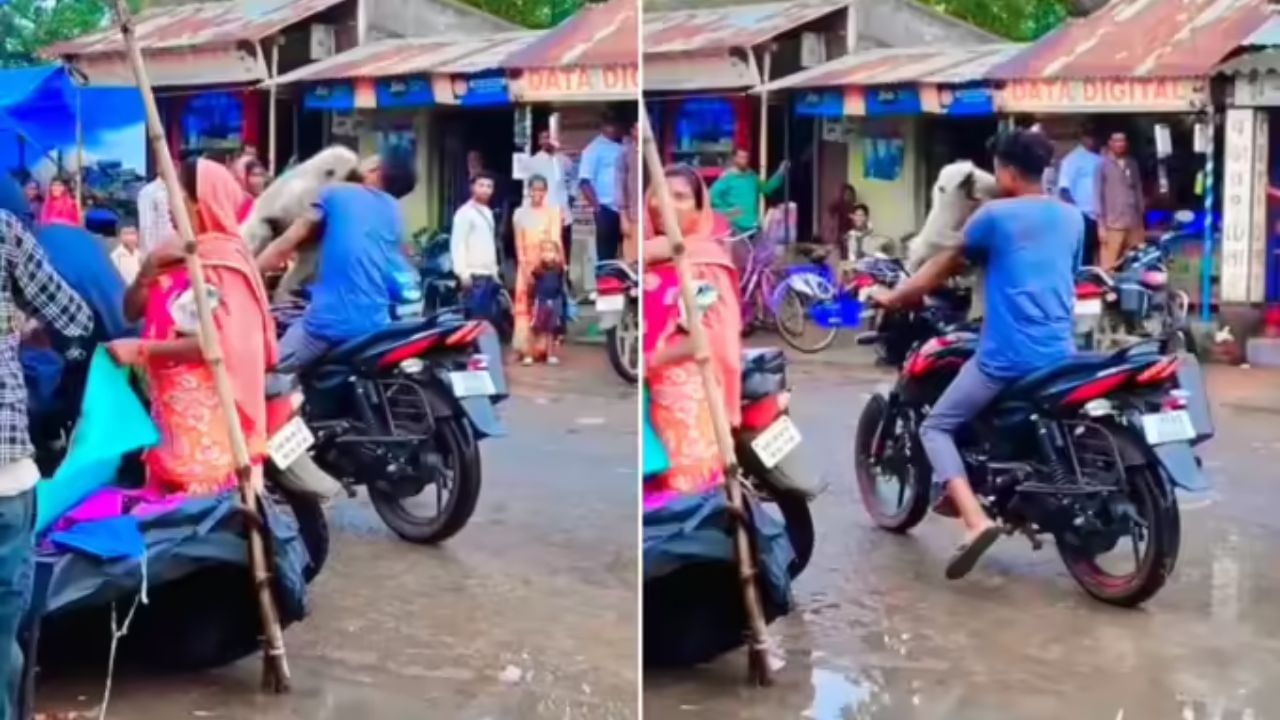 Viral Video: लंगूर को बाइक पर बैठाकर नवाब बन रहा था बंदा, एक झटके में जानवर ने निकाल दी सारी हवाबाजी Viral Video: लंगूर को बाइक पर बैठाकर नवाब बन रहा था बंदा, एक झटके में जानवर ने निकाल दी सारी हवाबाजी