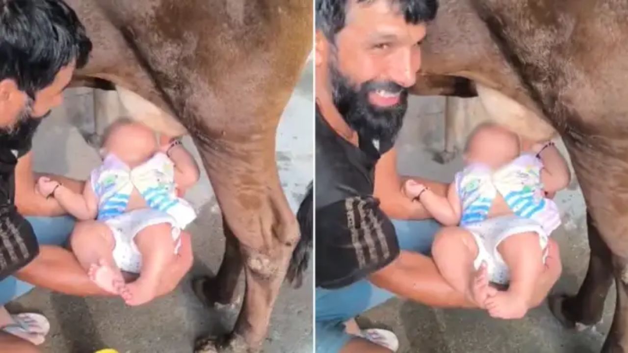 Viral: लाइक्स के लिए बंदे ने गाय के थन से पिलाया बच्चे को दूध, वीडियो देख लोग बोले- व्यूज के लिए ऐसे मत करो