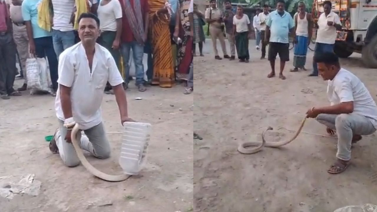 जो सांप पकड़ने के लिए पहुंचा, उसे ही काटा... तड़पता रहा शख्स और तमाशबीन बन रहे लोग जो सांप पकड़ने के लिए पहुंचा, उसे ही काटा... तड़पता रहा शख्स और तमाशबीन बन रहे लोग