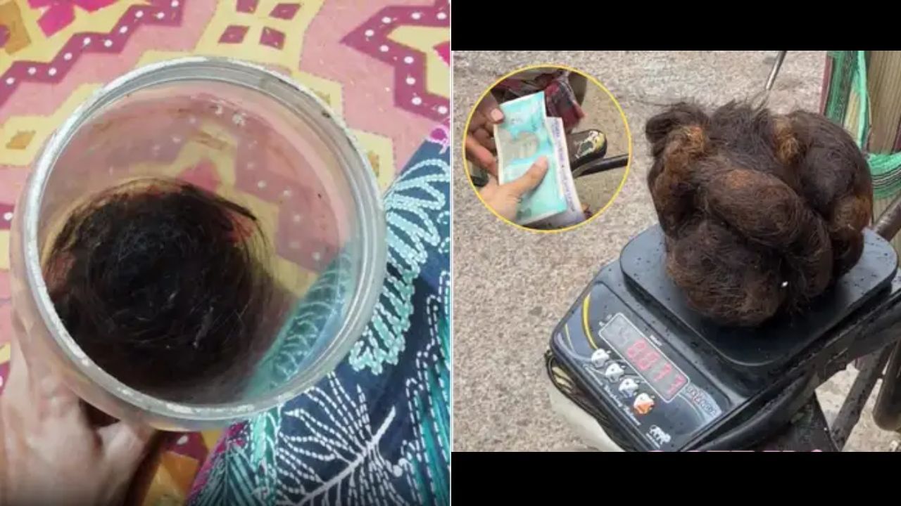 Viral Video: झड़ते बालों को जमा करके दो सालो में लड़की ने कमाए इतने पैसे, देखकर चौंक जाएंगे आप Viral Video: झड़ते बालों को जमा करके दो सालो में लड़की ने कमाए इतने पैसे, देखकर चौंक जाएंगे आप